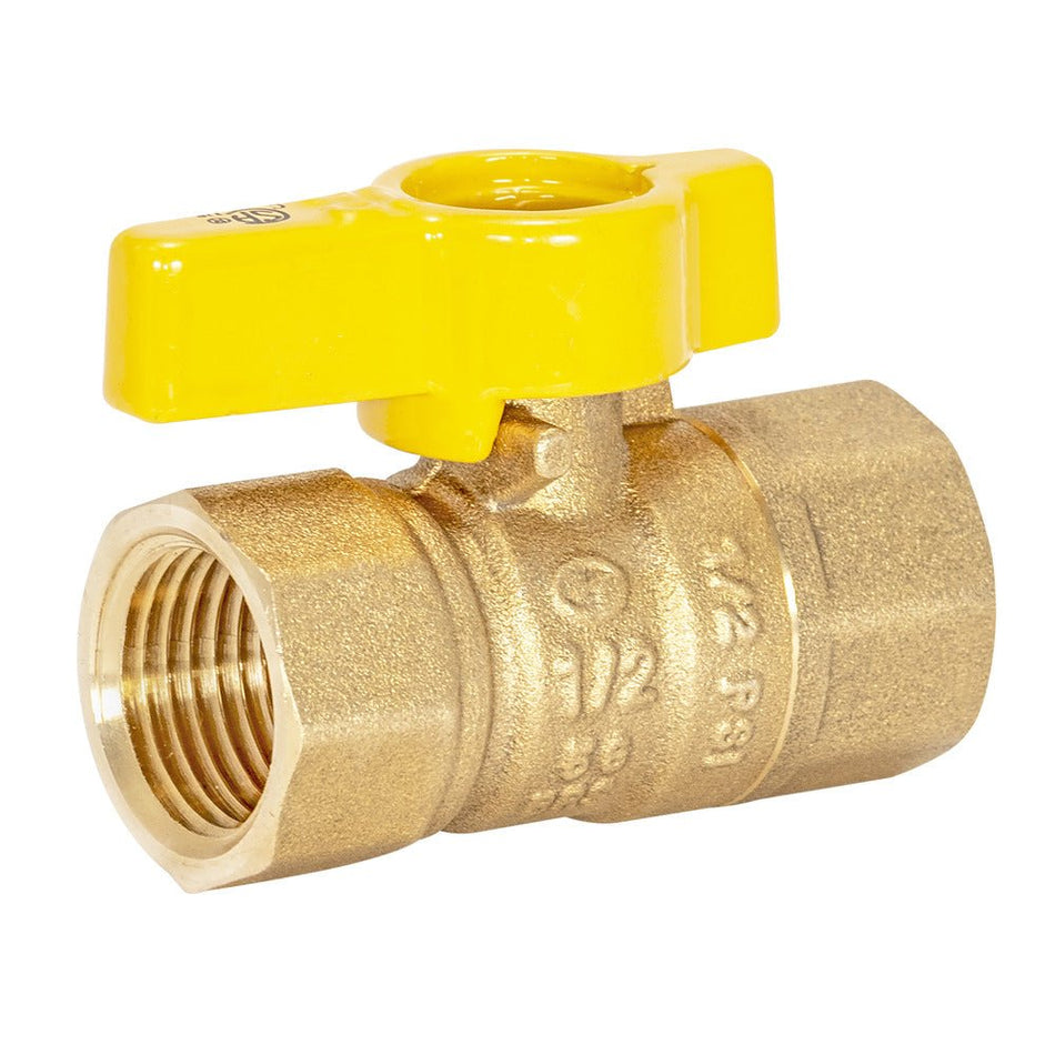 Eastman 1/2-in Fip x 1/2-in Fip Straight Gas Ball Valve