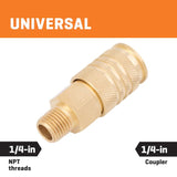 Kobalt Brass NPT Coupler (M) 1/4-in Universal