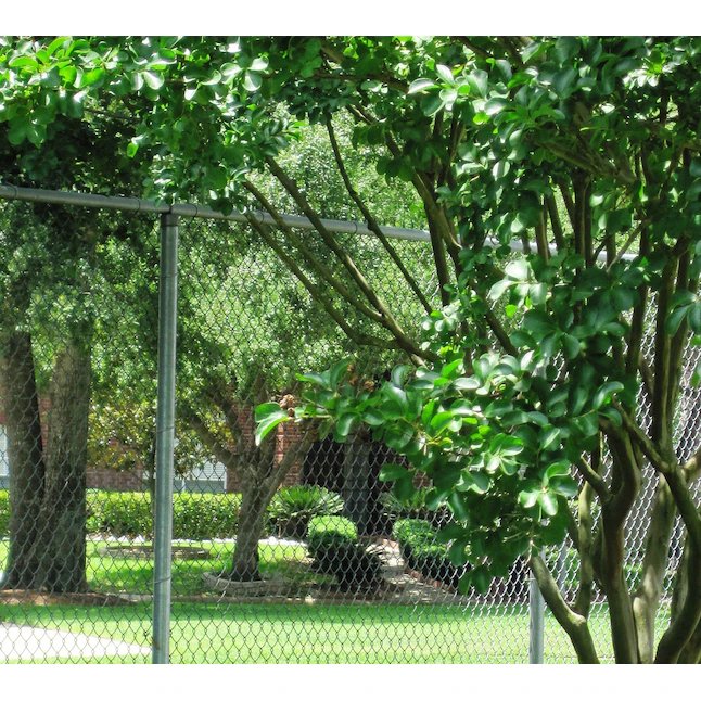 5-ft H x 50-ft W 11.5-Gauge Galvanized Steel Chain Link Fence Fabric with Mesh Size 2.375-in