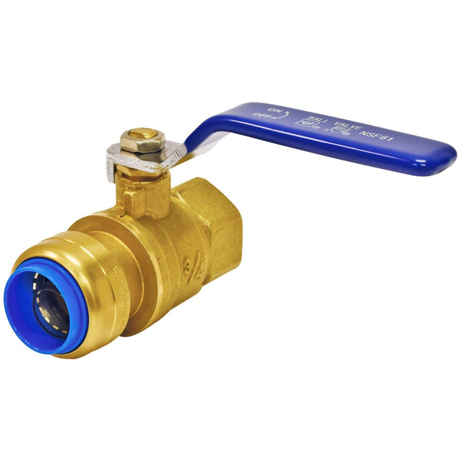 Eastman 3/4 in. Push-Fit x 3/4 in. FIP Ball Valve