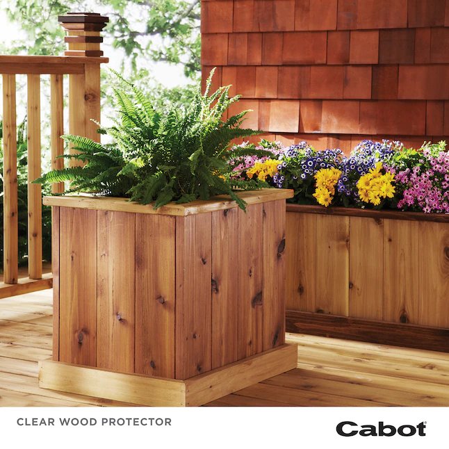 Cabot Wood Protector Clear Exterior Wood Stain (1 galón)