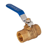 Eastman 3/4 in. IPS Heavy-Duty Full Port Ball Valve